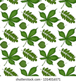 Leaves seamless pattern. Vector background for the holidays. Modern design for paper, covers, fabrics, interiors, etc.