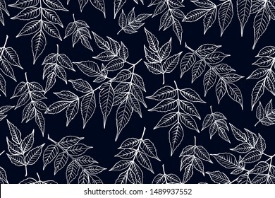 Leaves seamless pattern. Vector background hand drawn. Textile print, wrapping ,wallpaper.