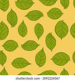 Leaves seamless patterns, elm leaves, vector grafic.