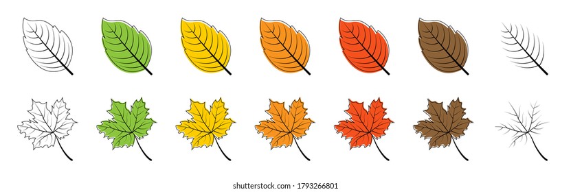 Leaves. Season leaf. Leaves different color, isolated. Leaf vector icons. Vector illustration.