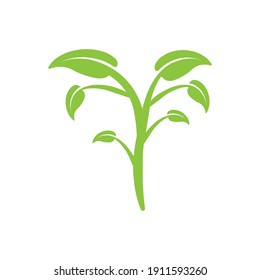 Leaves and seedlings vector illustration