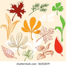 Leaves set