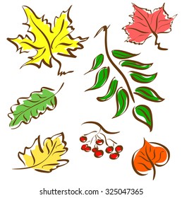 Leaves set , autumn , vector, sketch on a white background