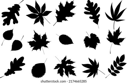 Leaves Set Black Silhouette Isolated Vector Stock Vector (Royalty Free ...