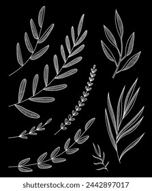 Leaves set. Botanical illustration. Vector design elements. Isolated. White line work on black background.