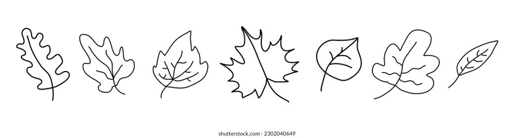 Leaves set. Cartoon leaf line style. Vector illustration isolated on white background.