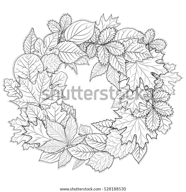 Leaves Set Coloring Page Vector Stock Vector (Royalty Free) 528188530
