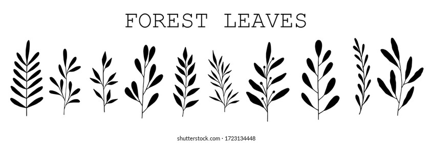 Leaves set. Cute hand drawn forest leaves and branch set. Traditional leaves in ink, doodle style for wedding decoration and arrangements.
