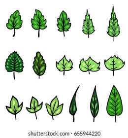 Leaves, set. Decor. Vector illustration.
