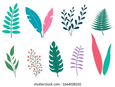Leaves set. Different plants foliage. Leaf collection isolated on white background. Vector illustration.