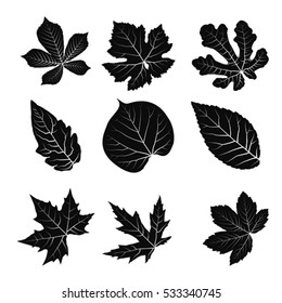 Leaves set flat icon. Isolated on white, vector