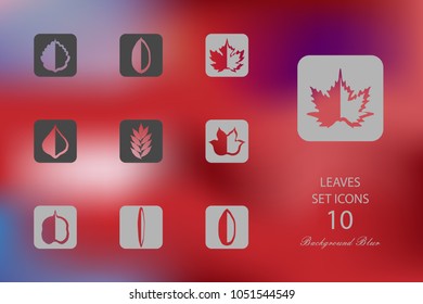 Leaves. Set of flat icons on blurred background. Vector illustration