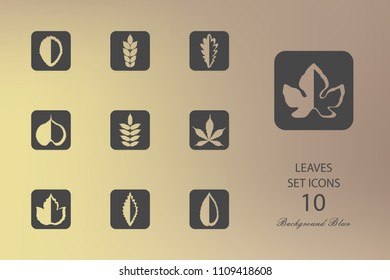 Leaves. Set of flat icons on blurred background. Vector illustration