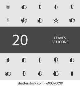 Leaves set of flat icons. Simple vector illustration