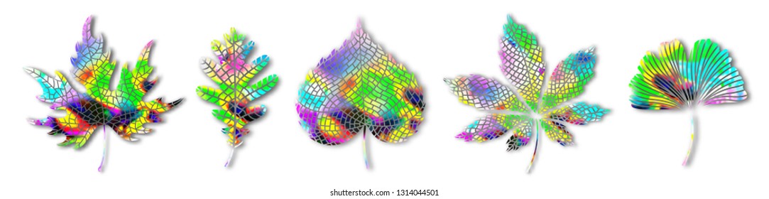 Leaves set. Ginkgo biloba, oak, linden, chestnut leaf icons. Vector isolated objects with shadows. Multicolored holographic gradient vibrant trendy botanical illustration abstract collection