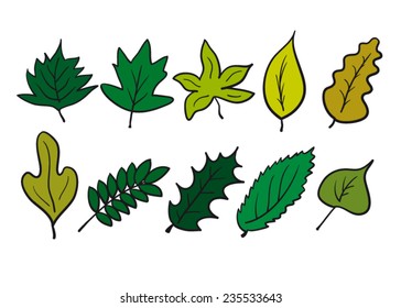 Leaves set green
