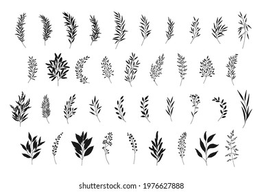 Leaves set, hand drawn branches silhouettes. Meadow herbs, wild plants, twigs, botanical elements for design projects, wedding decoration. Vector illustration, isolated on white.