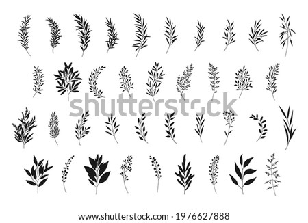 Leaves set, hand drawn branches silhouettes. Meadow herbs, wild plants, twigs, botanical elements for design projects, wedding decoration. Vector illustration, isolated on white.