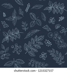 Leaves set. Hand drawn decorative elements. Vector illustration