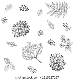 Leaves set. Hand drawn decorative elements. Vector illustration