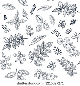 Leaves set. Hand drawn decorative elements. Vector illustration