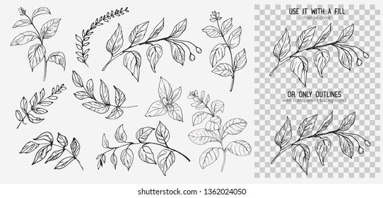 Leaves set. Hand drawn decorative elements. Vector illustration