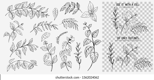 Leaves set. Hand drawn decorative elements. Vector illustration