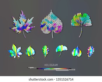 Leaves set, holographic ginko biloba, oak, linden, chestnut Vector colorful isolated and silhouette objects. Multicolored gradient vibrant trendy rainbow foil cosmic colorful bright vivid texture