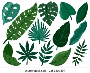 Leaves Set Ilustration Hand Drawing