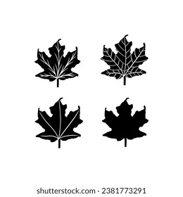 leaves set on white background. hand drawn vector illustration.