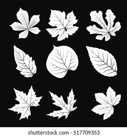 Leaves set. Red, vector 
