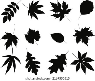 Leaves Set Silhouette On White Background Stock Vector (Royalty Free ...