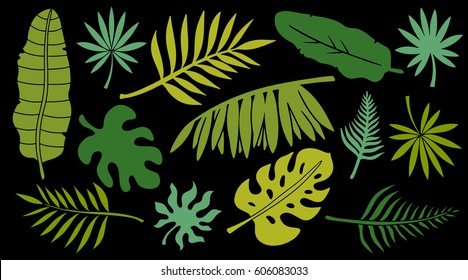 Leaves set. Tropical plants isolated on black background