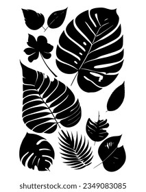 leaves set vector illustration design