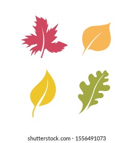 leaves set vector template icon
