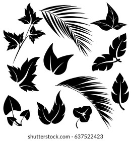 leaves set,eco icons, isolated on a white