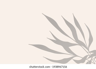 Leaves shadow background. The effect of overlaying shadows. Vector texture for background, wallpaper, own design