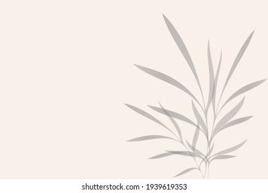 Leaves shadow background. The effect of overlaying shadows. Vector texture for background, wallpaper, own design