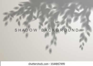 Leaves shadow effect on white background