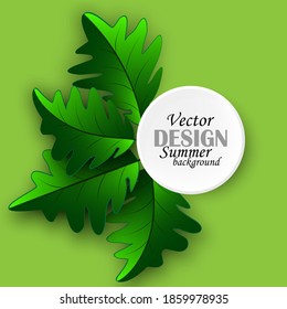 
Leaves With Shadow Green Oak, Frame, Vector Background Design