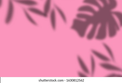 Leaves shadow overlay with pink background vector. Wallpaper for business website design. banner social media advertising. Vintage style