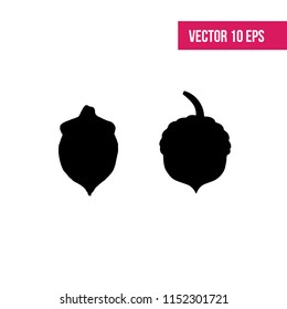 Leaves sign. Acorn icon vector.   Negative space