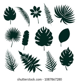 Leaves silhouette collection, set icons colorless images with tropical leaf, herbs of different shapes vector illustration isolated on white