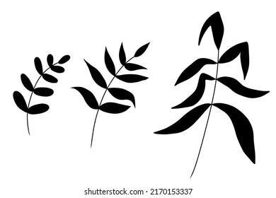 Leaves silhouette. Minimalistic abstract boho outlines branch leaf. Flower and plant. Element for abstract poster. Vector illustration isolated on white background. 