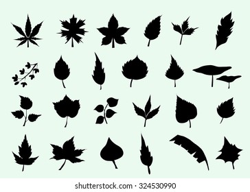 Leaves Silhouette Set