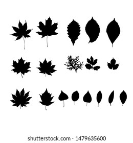 Leaves silhouette set.  Floral black design elements. Vector illustration collection.  Isolated on white