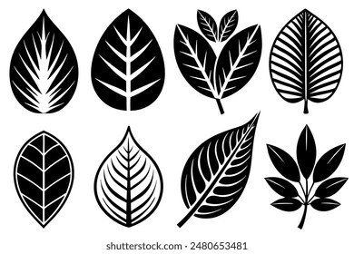 Leaves Silhouette A Set of Illustrations
