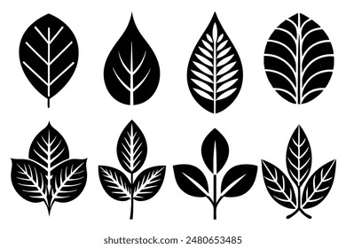 Leaves Silhouette A Set of Illustrations