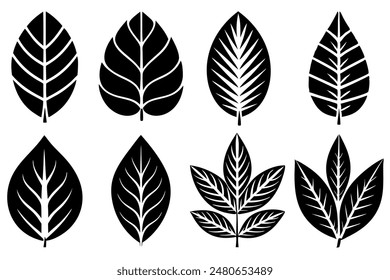 Leaves Silhouette A Set of Illustrations