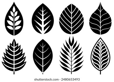 Leaves Silhouette A Set of Illustrations